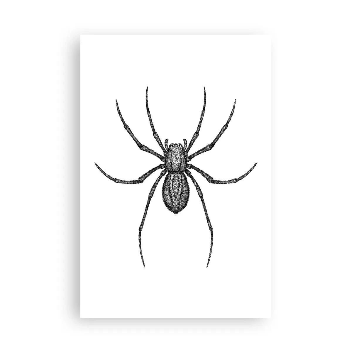 Plagát - Znepokojivá presnosť - 61x91 cm