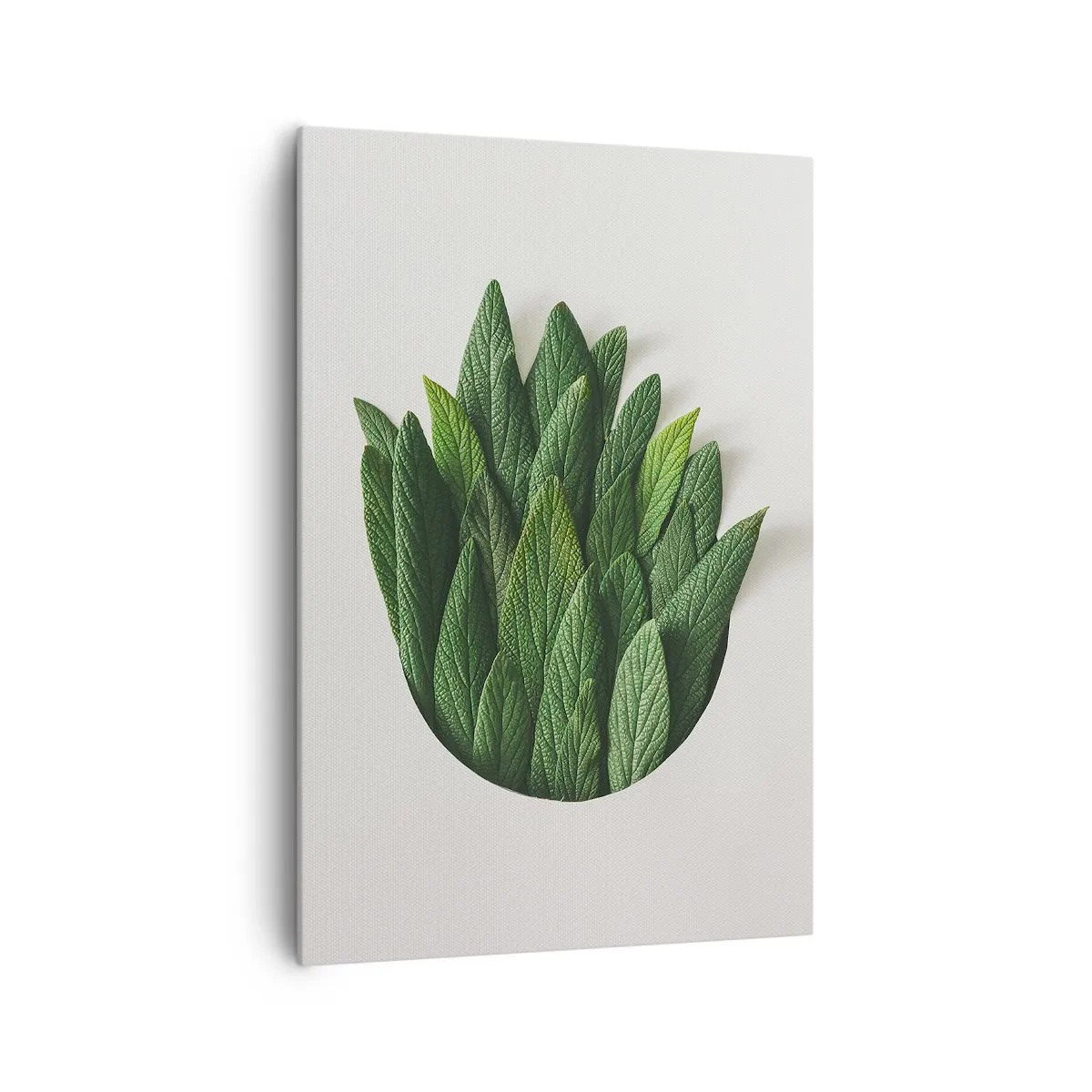 Obraz na plátne - Neukojiteľná zvedavosť - 70x100 cm