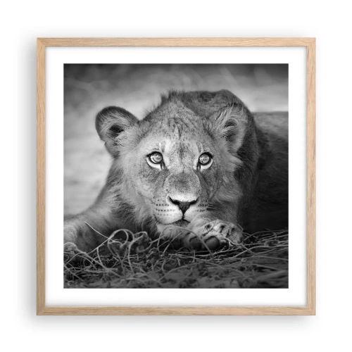 Plagát v ráme zo svetlého duba - Kráľovské šteňa - 50x50 cm