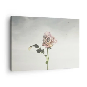 Obraz na plátne - Jemná ruža na pozadí jasnej oblohy s lietajúcimi vtákmi - 70x50cm - Vítanie jari - Moderná nástenná dekorácia do obývacej izby a spálne ARTTOR