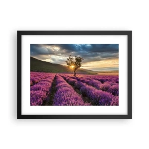 Plagát v čiernom ráme - Aróma vo fialovej - 40x30 cm