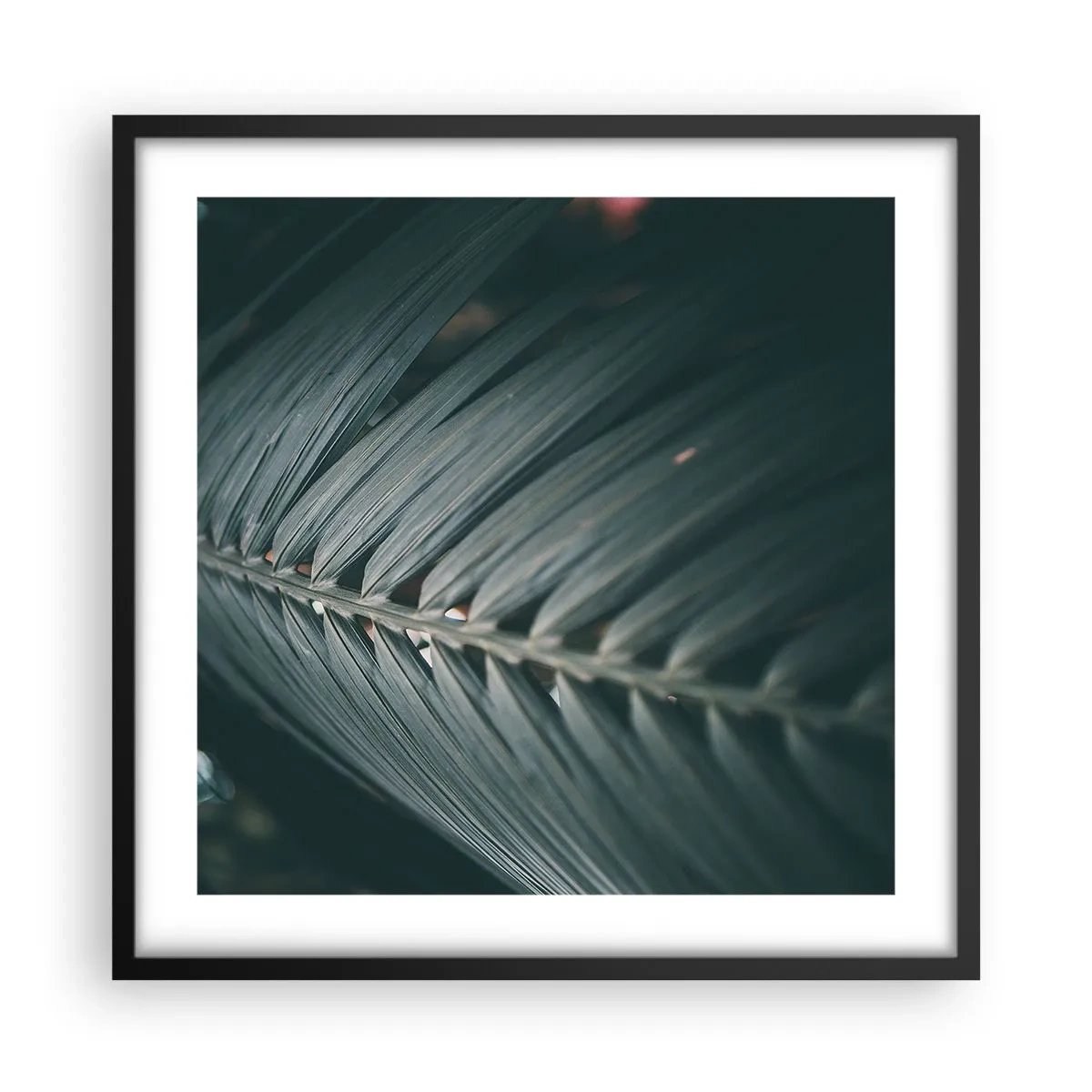 Plagát v čiernom ráme - Presnosť prírody - 50x50 cm