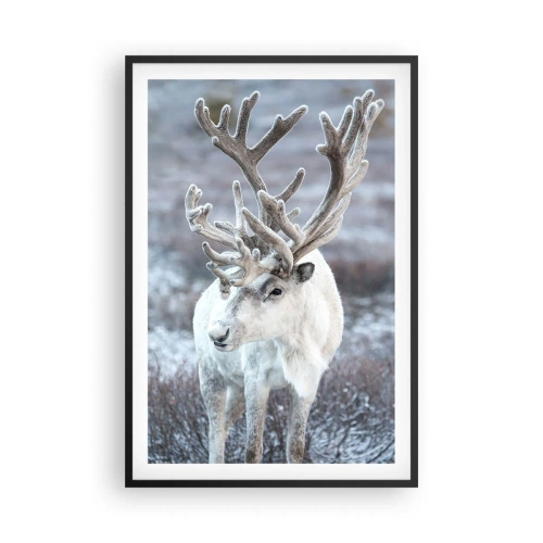 Plagát v čiernom ráme - Slnečný portrét - 61x91 cm