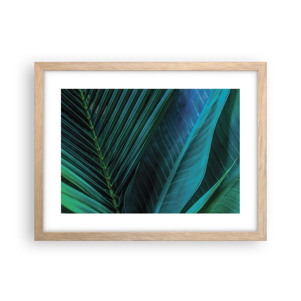 Plagát v ráme zo svetlého duba - Anatómia zelene - 40x30 cm