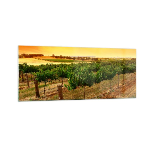Obraz na skle - Napiť sa slnka - 100x40 cm