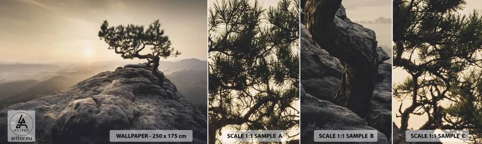 Vzorka samolepiacej fototapety Deluxe Sticker - Život vždy víťazí - Horská krajina, Borovica, hory - 100x30 cm