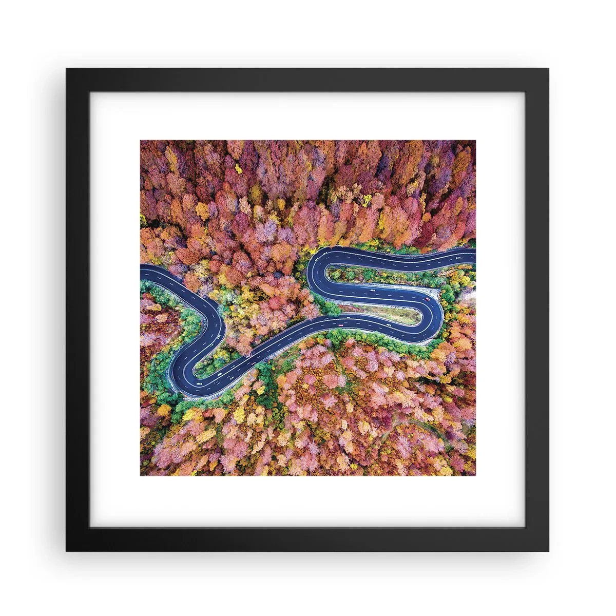 Plagát v čiernom ráme - Kľukatá cesta lesom - 30x30 cm