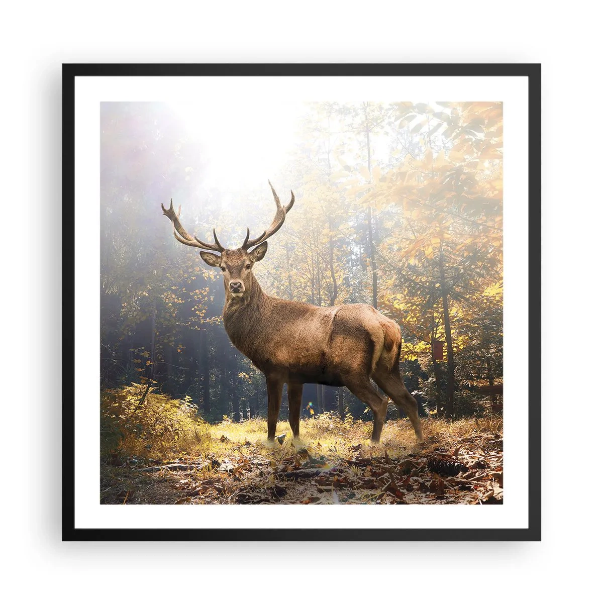 Plagát v čiernom ráme - Plné dôstojnosti - 60x60 cm