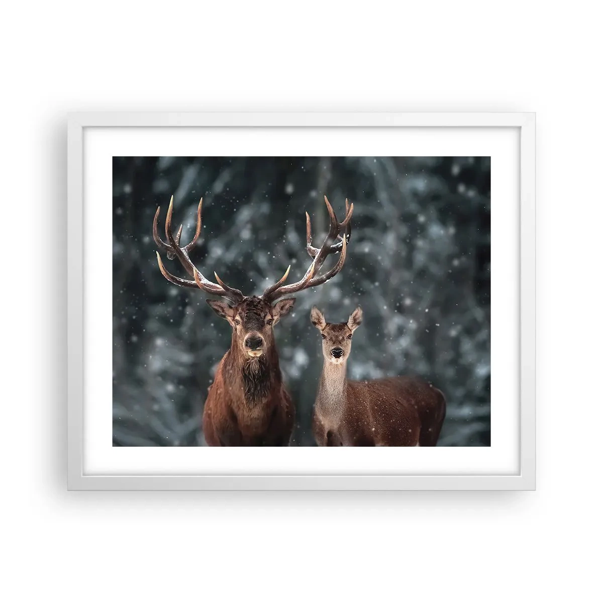 Plagát v bielom ráme - Pán lesa so svojou ženou - 50x40 cm