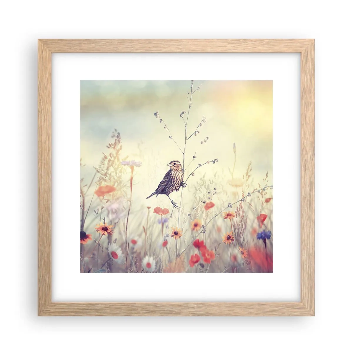 Plagát v ráme zo svetlého duba - Portrét vtáka s lúkou v pozadí - 30x30 cm