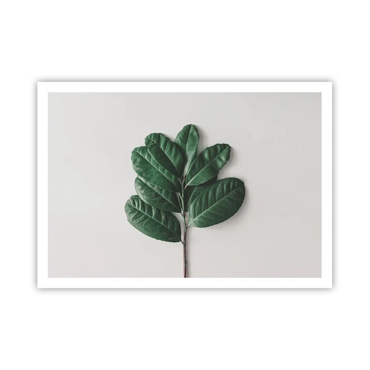 Plagát - Kresba samotnej prírody - 100x70 cm