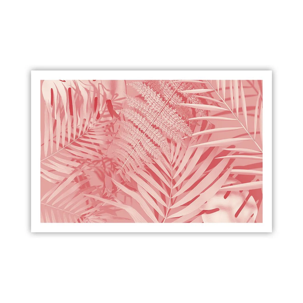 Plagát - Ružový koncept - 91x61 cm