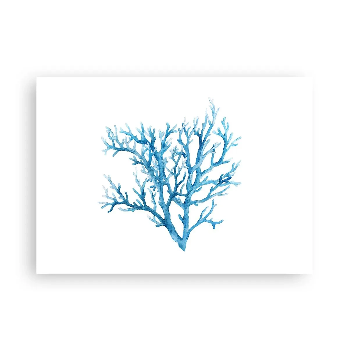 Plagát - Morský filigrán - 70x50 cm