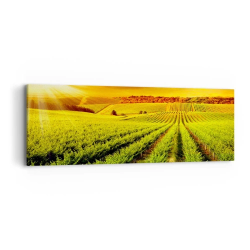 Obraz na plátne - Pod austrálskym slnkom - 90x30 cm