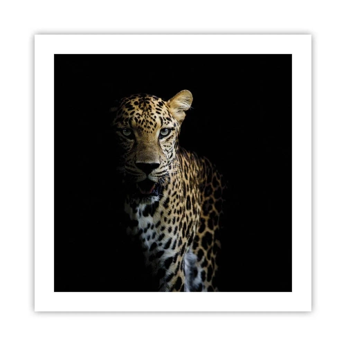 Plagát - Temná krása - 50x50 cm