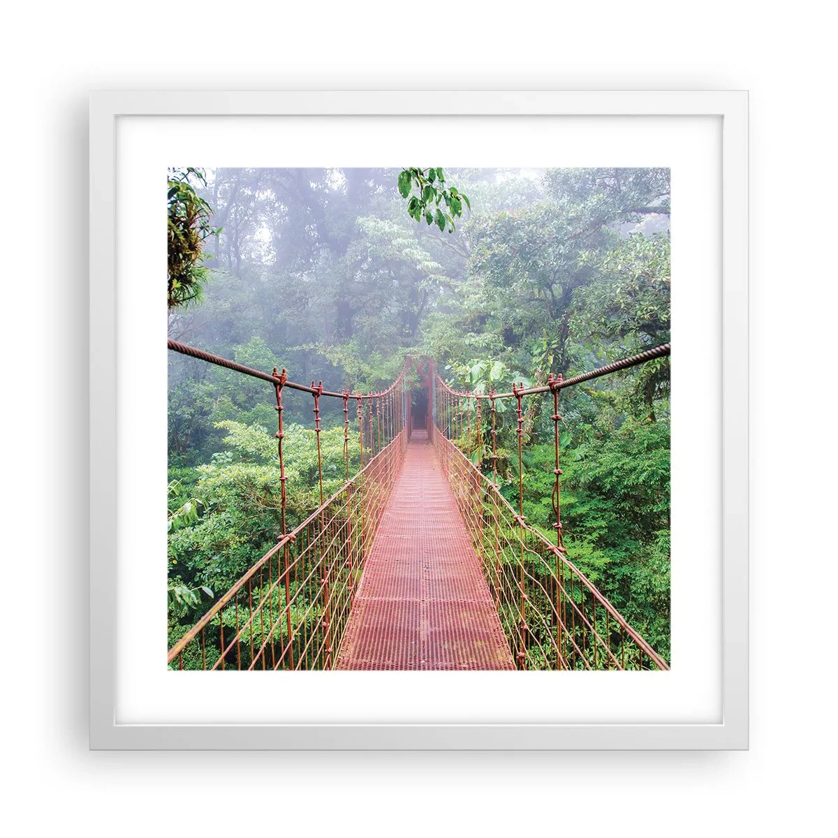 Plagát v bielom ráme - Zavesený nad korunami - 40x40 cm