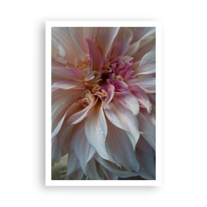 Plagát - Kvitnúca sviežosť - 70x100 cm