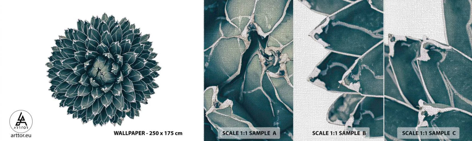 Vzorka fototapety Premium Canvas - Hviezda púšte - Kaktus, Agáve, Grafika - 100x30 cm