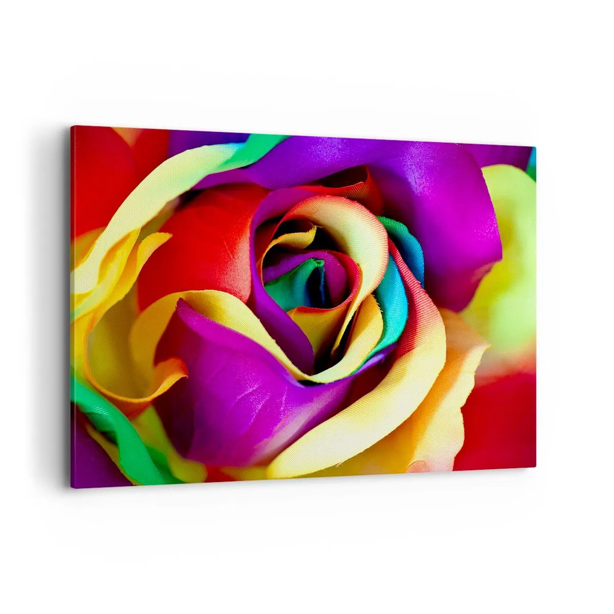 Obraz na plátne - To nie je možné - 100x70 cm