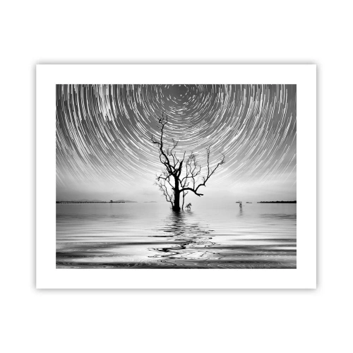 Plagát - Symfónia prírody - 50x40 cm