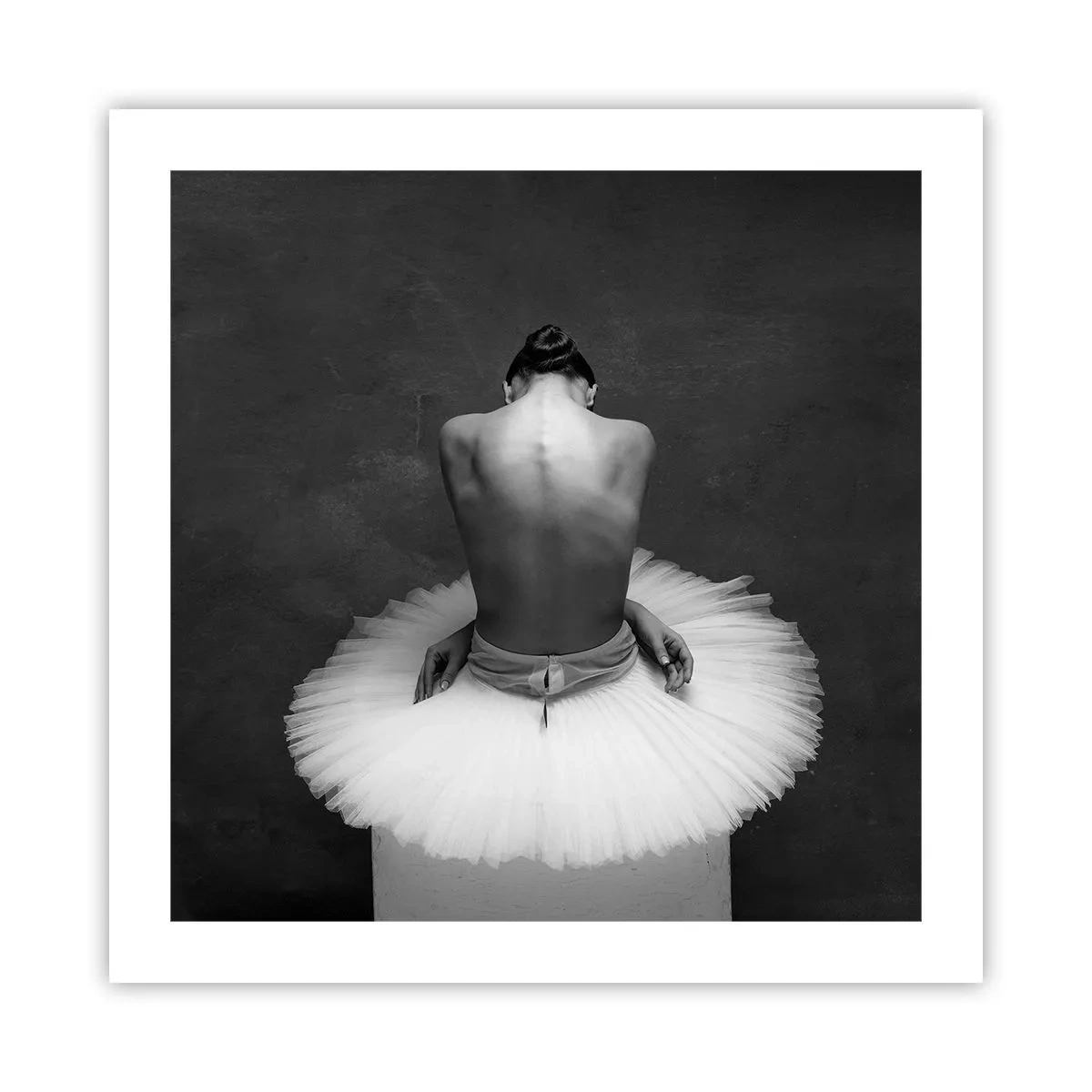 Plagát - Práve prekvitá - 50x50 cm