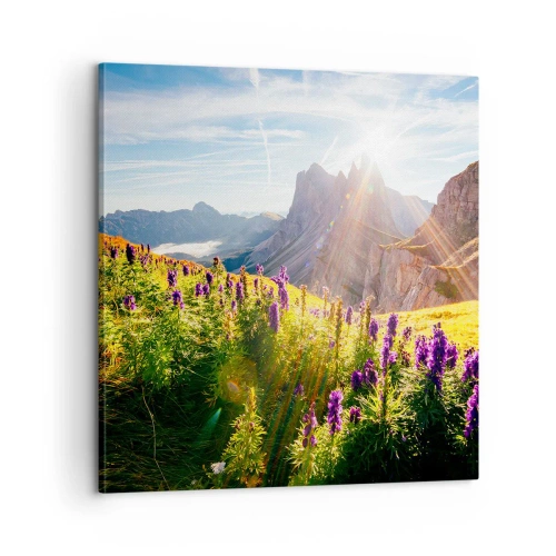Obraz na plátne - Tajomný život bylín - 60x60 cm