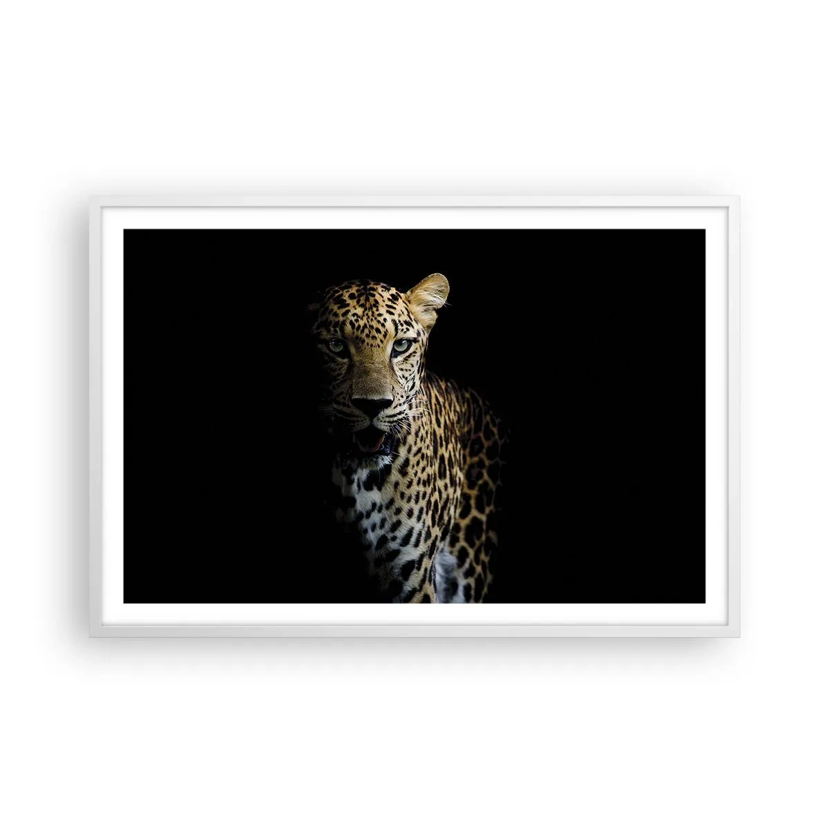 Plagát v bielom ráme - Temná krása - 91x61 cm