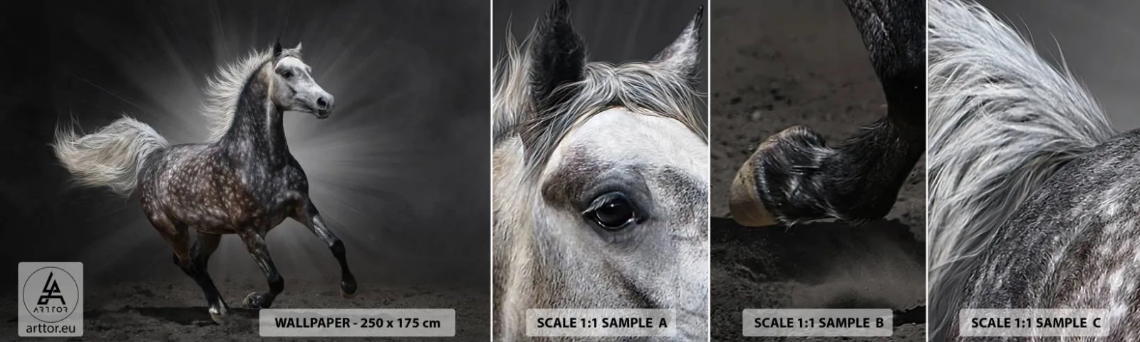 Vzorka samolepiacej fototapety Deluxe Sticker - Sivé je krásne - Zvieratá, Arabský kôň, Príroda - 100x30 cm