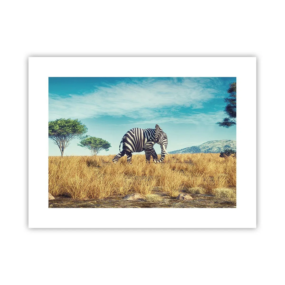 Plagát - Šedá už nie je v móde - 40x30 cm