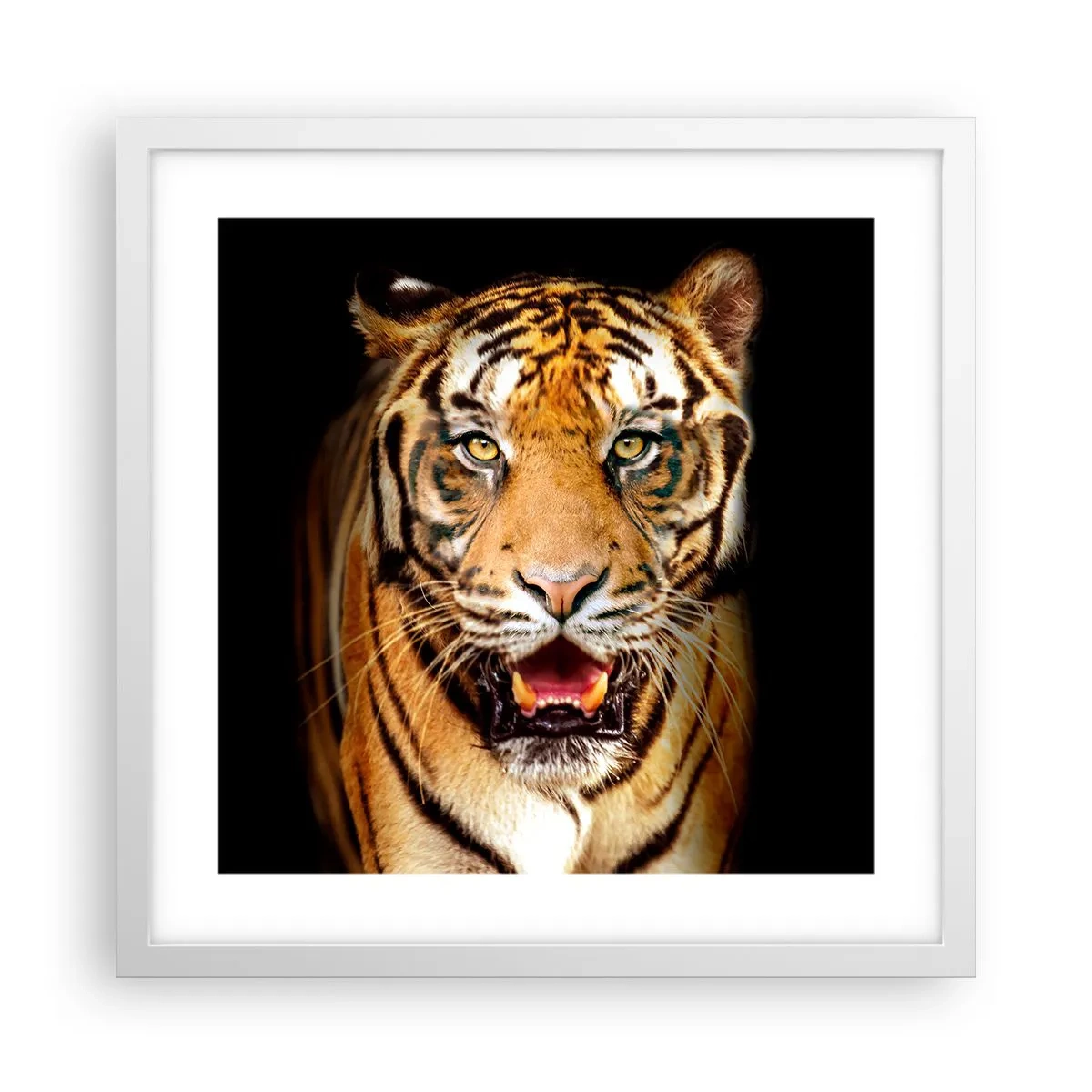 Plagát v bielom ráme - Divokosť v srdci - 40x40 cm