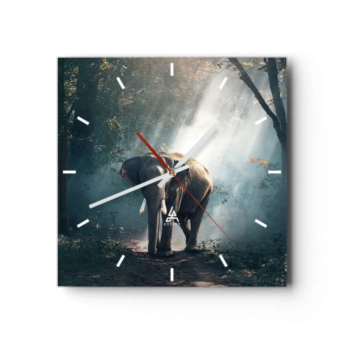 Nástenné hodiny - Pokojná prechádzka - 30x30 cm