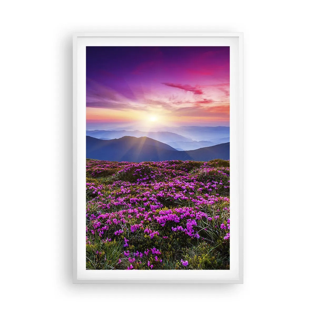 Plagát v bielom ráme - Zavoňali svieže púčiky byliniek z obilných polí - 61x91 cm