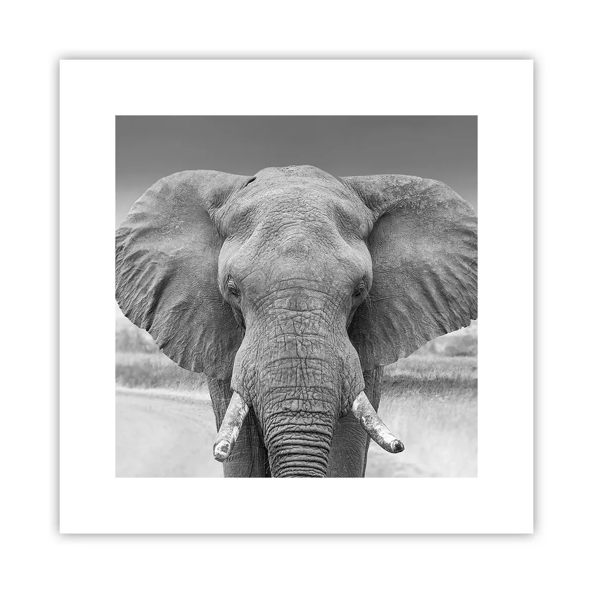 Plagát - Vitajte v mojom svete - 30x30 cm