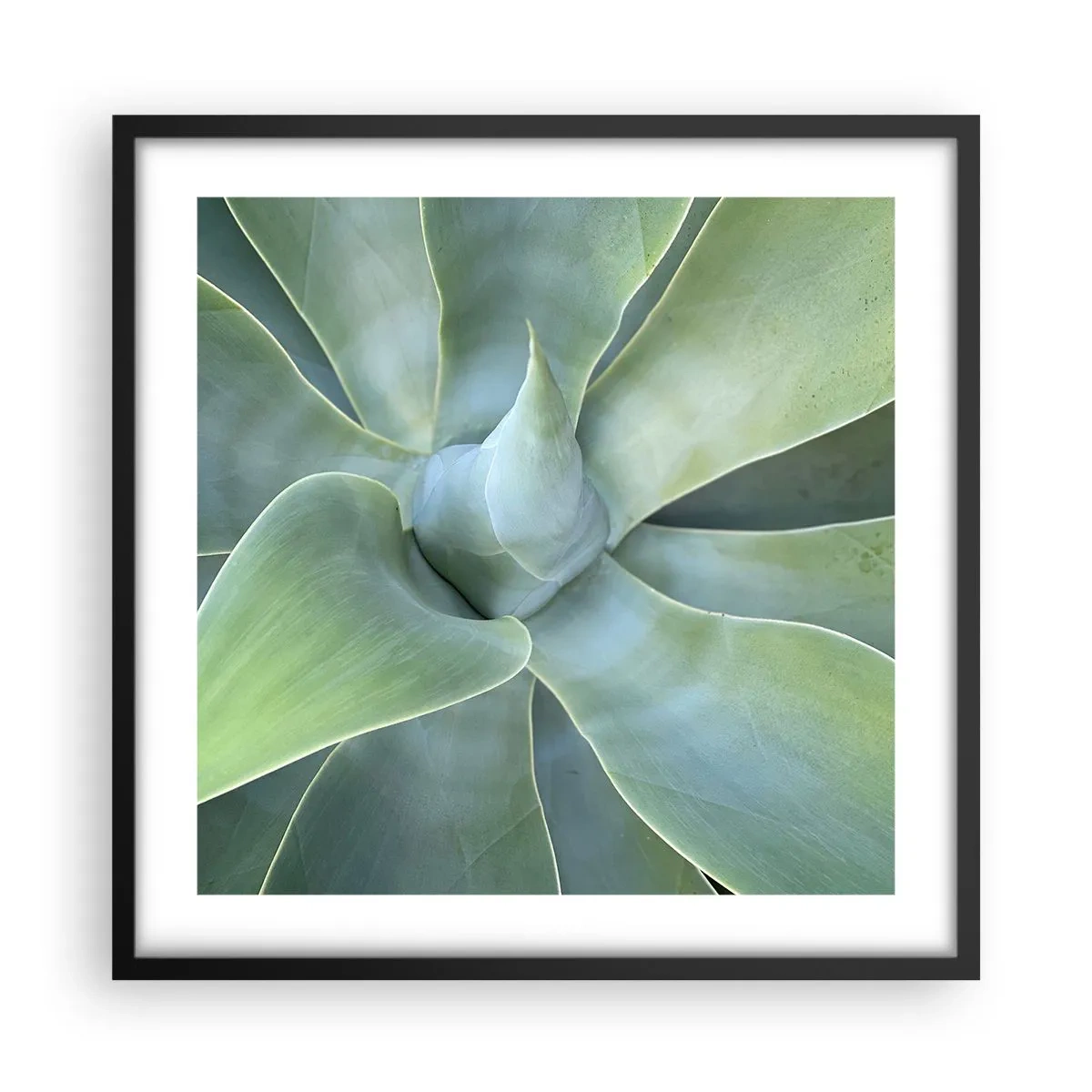 Plagát v čiernom ráme - Zrodenie zelene - 50x50 cm