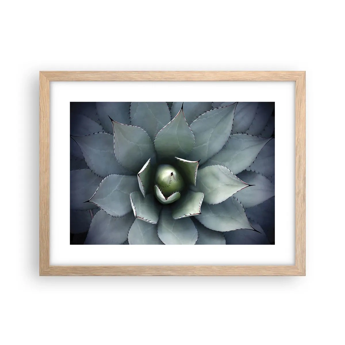 Plagát v ráme zo svetlého duba - Zvádza a varuje - 40x30 cm