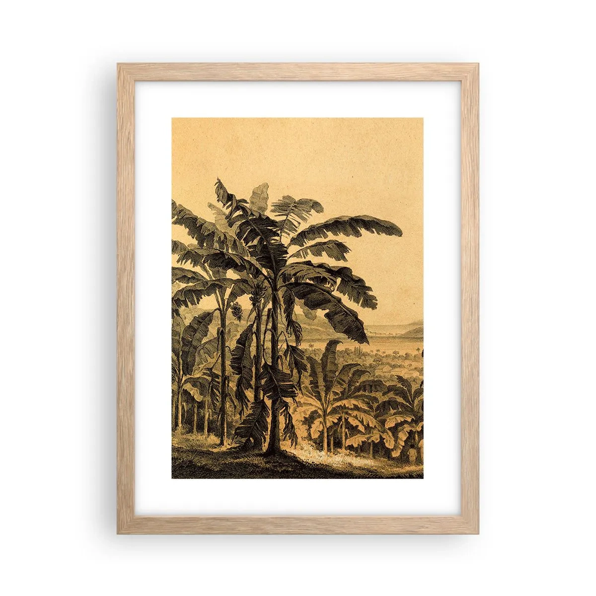 Plagát v ráme zo svetlého duba - V koloniálnom štýle - 30x40 cm