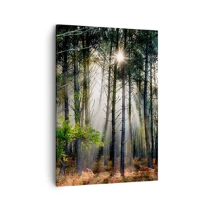 Obraz na plátne - Lesná divočina - 50x70 cm