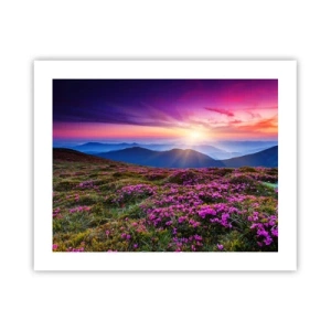 Plagát - Zavoňali svieže púčiky byliniek z obilných polí - 50x40 cm