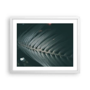 Plagát v bielom ráme - Presnosť prírody - 50x40 cm