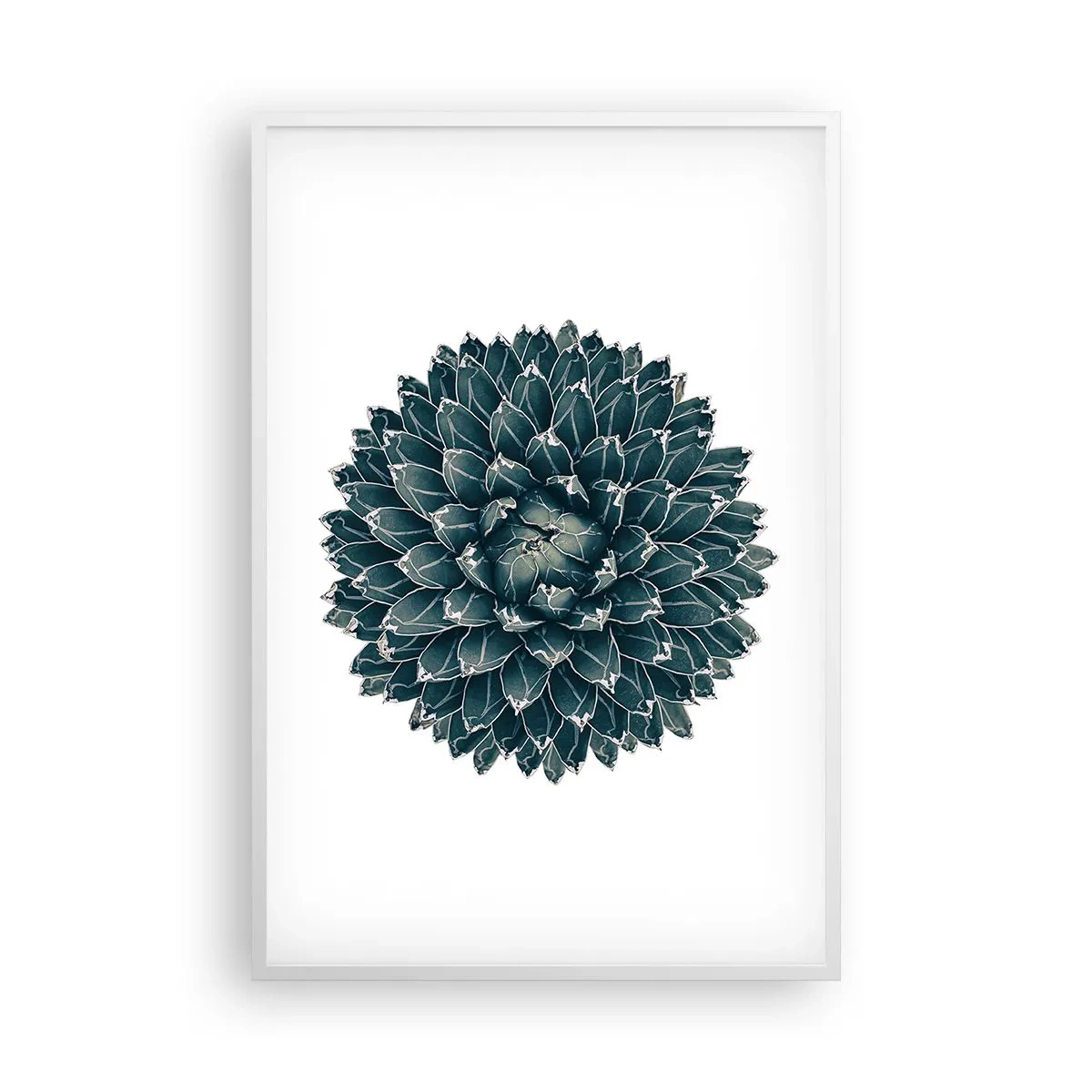 Plagát v bielom ráme - Hviezda púšte - 61x91 cm
