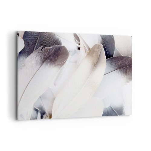 Obraz na plátne - Takmer anjelské - 100x70 cm