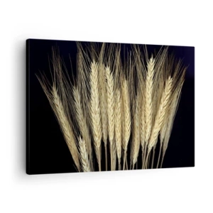Obraz na plátne - Klasy pšenice na čiernom pozadí v rustikálnom štýle - 70x50cm - Rustikálna mágia - Moderná nástenná dekorácia do obývacej izby a spálne ARTTOR