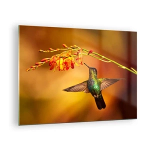 Obraz na skle - Kolibrík pri kvetoch v zlatej žiare - 70x50cm - Posol svetla podľa Májov - Moderná nástenná dekorácia do obývacej izby a spálne ARTTOR