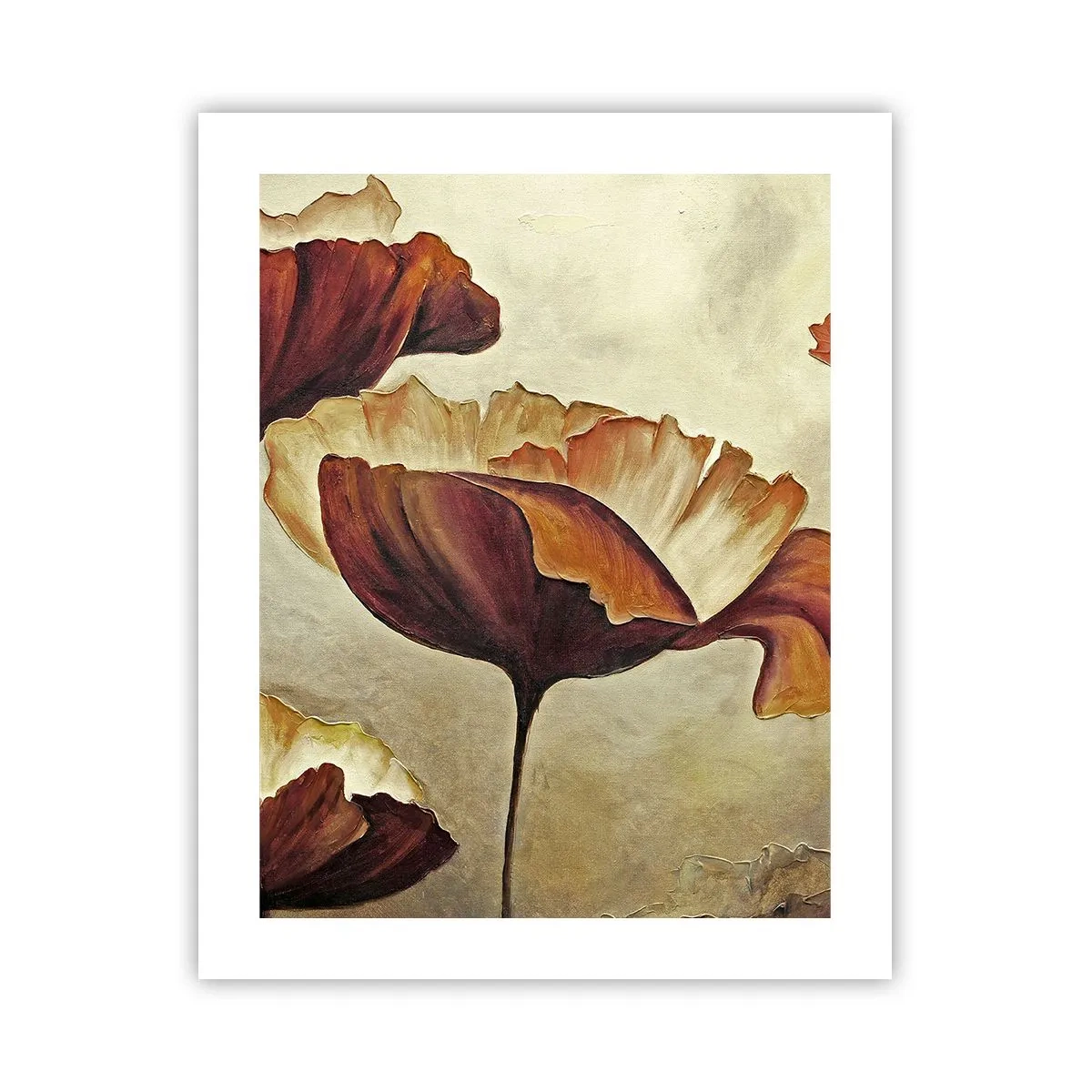 Plagát - Lán lúky - 40x50 cm