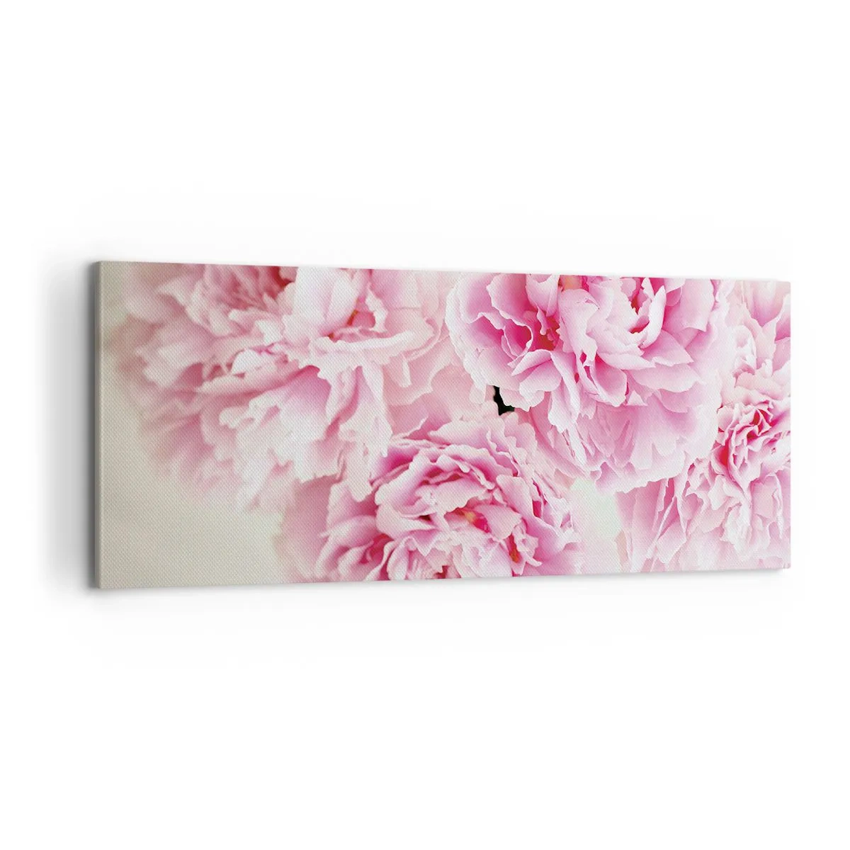 Obraz na plátne - V ružovom prepychu - 100x40 cm