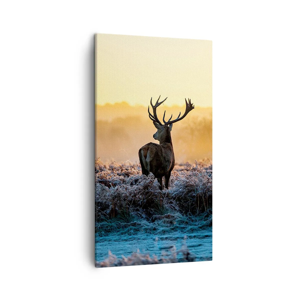 Obraz na plátne - Korunovaný na svojom panstve - 45x80 cm