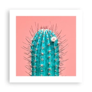 Plagát - Len pozeraj - 40x40 cm