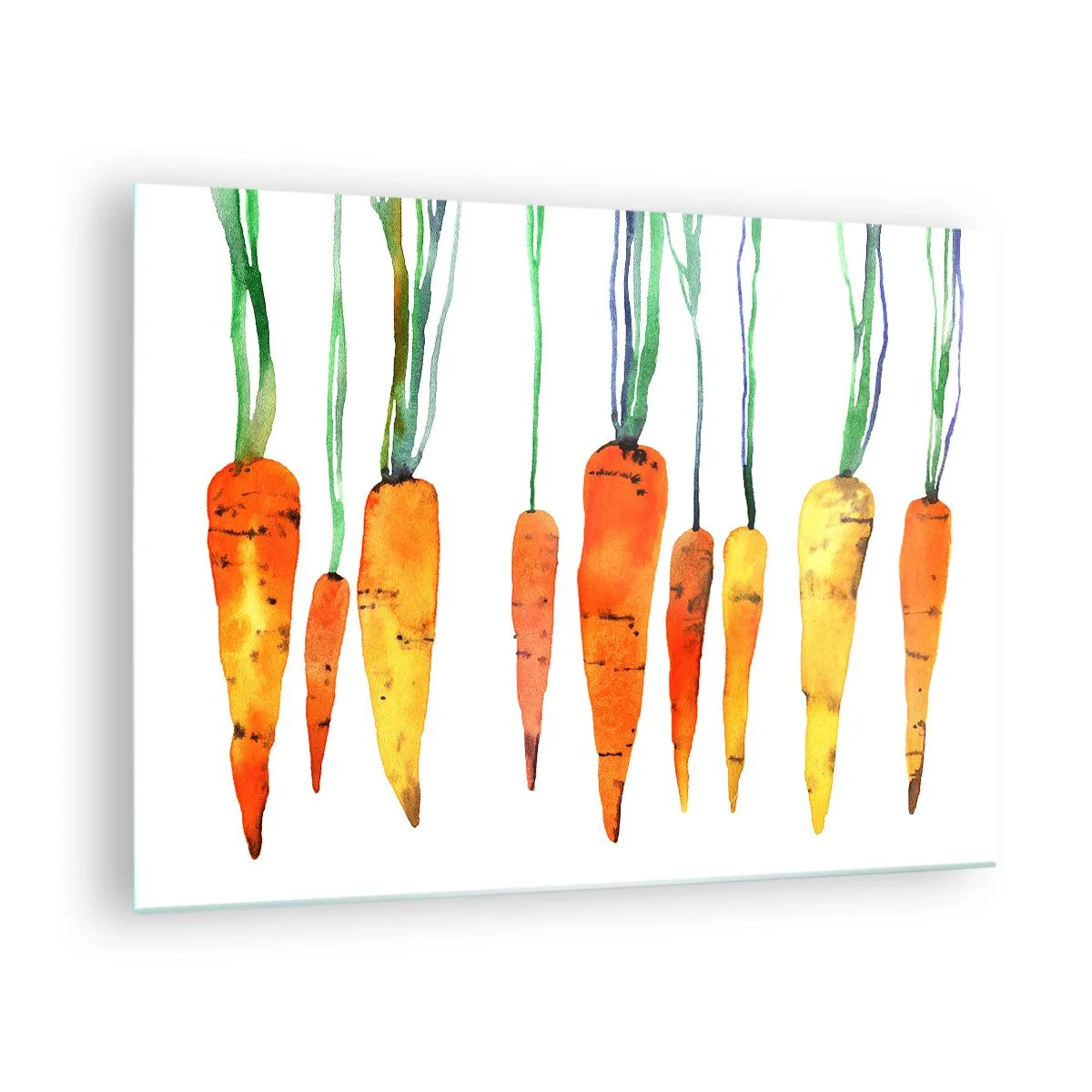 Obraz na skle - Akvarelová mrkva v rôznych odtieňoch oranžovej so zelenými stonkami - 70x50cm - Krása zvyčajnosti - Moderná nástenná dekorácia do obývacej izby a spálne ARTTOR