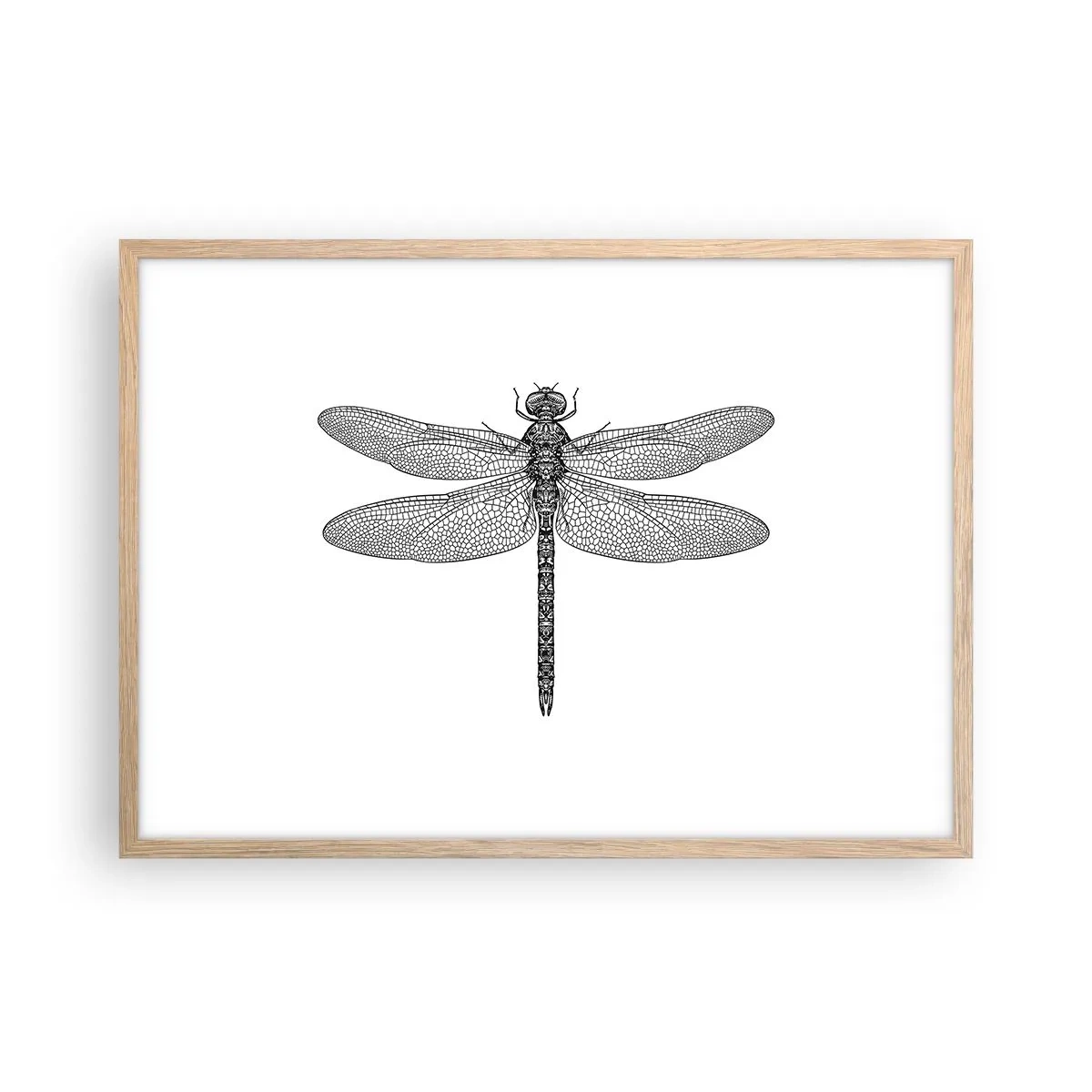 Plagát v ráme zo svetlého duba - Presnosť prírody - 70x50 cm