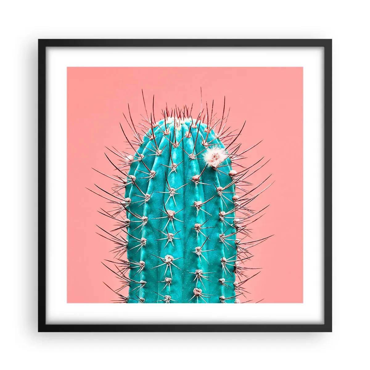 Plagát v čiernom ráme - Len pozeraj - 50x50 cm